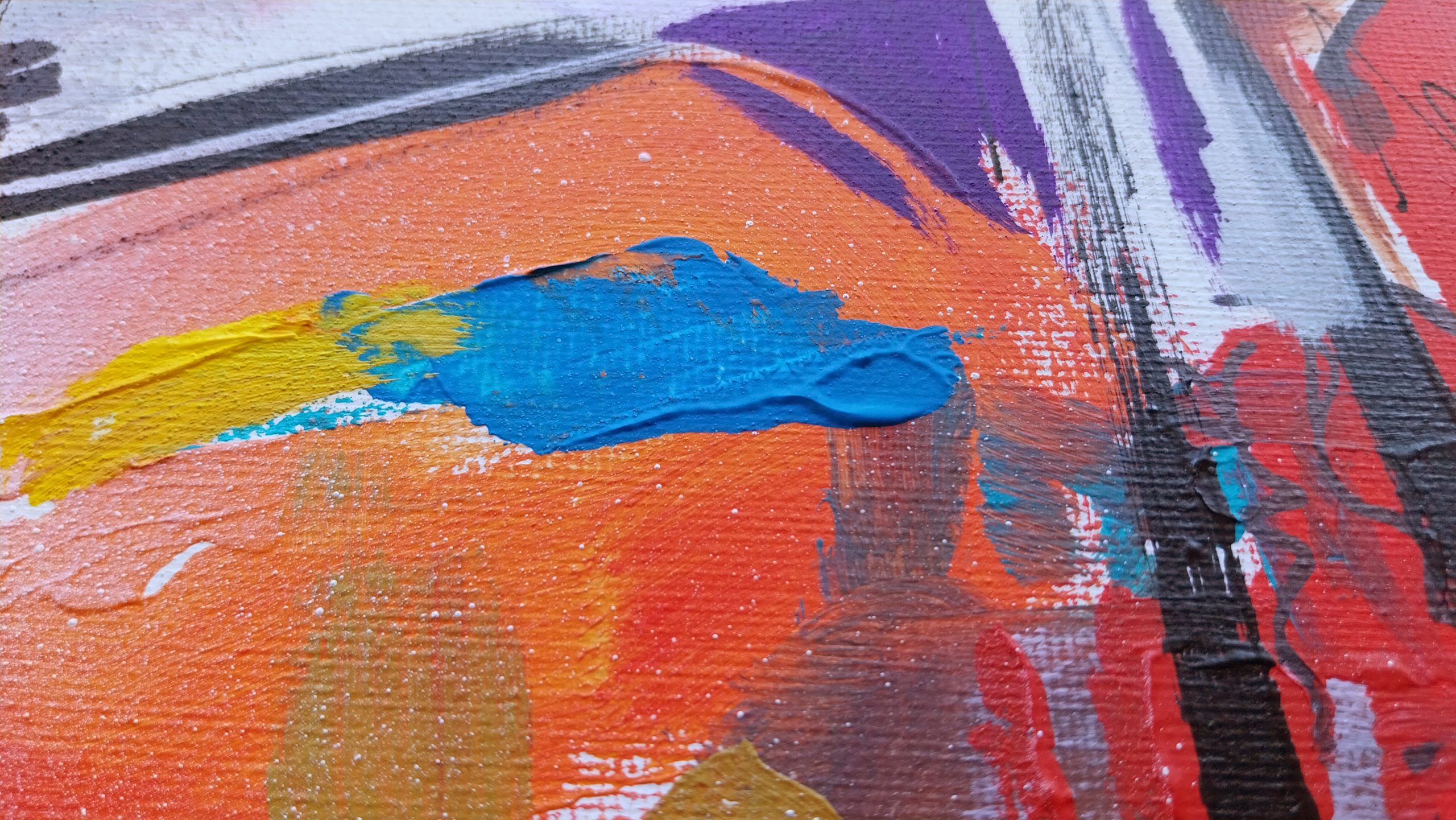 2025-Jungla 5-Detalle