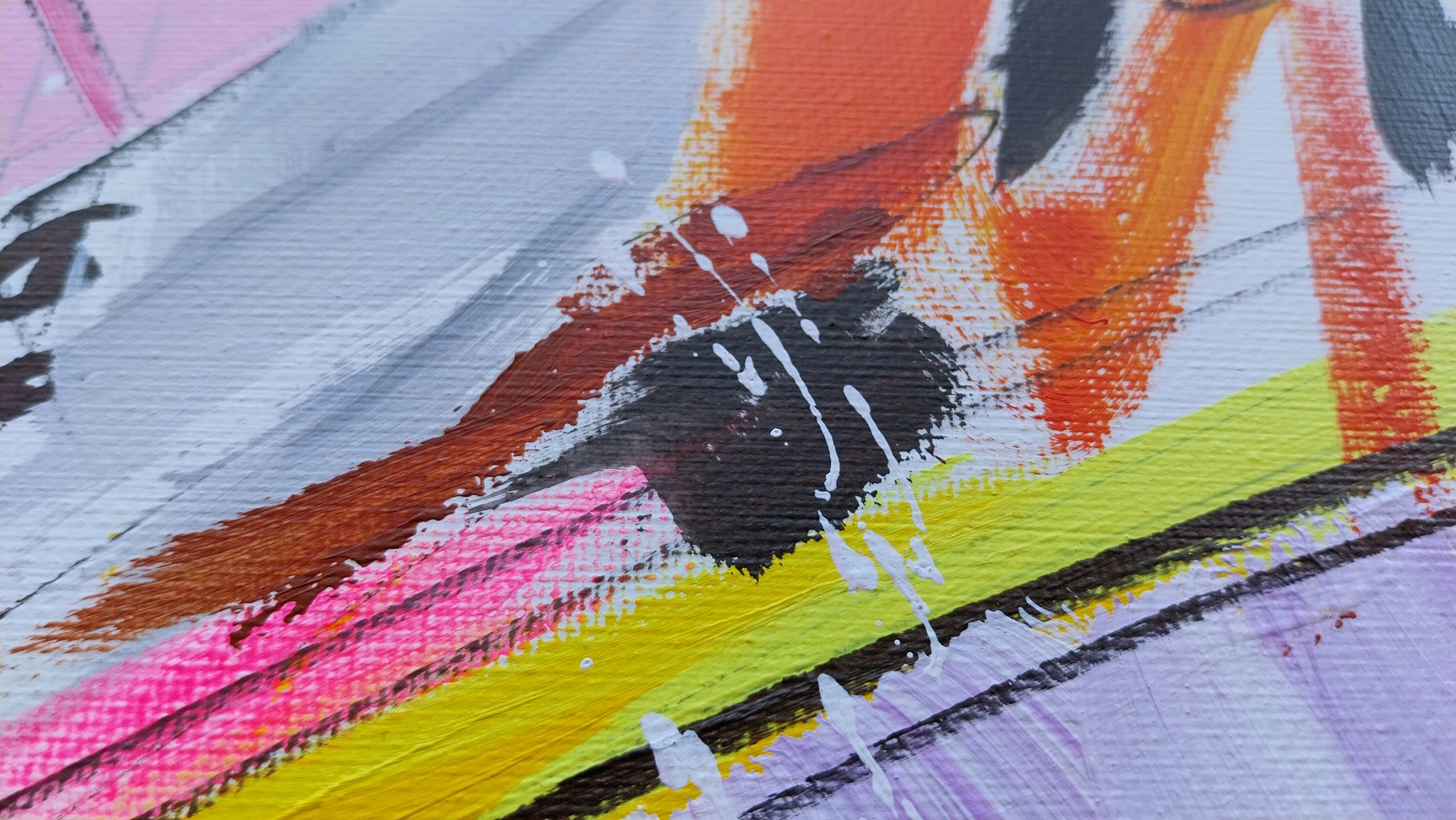 2025-Jungla 5-Detalle