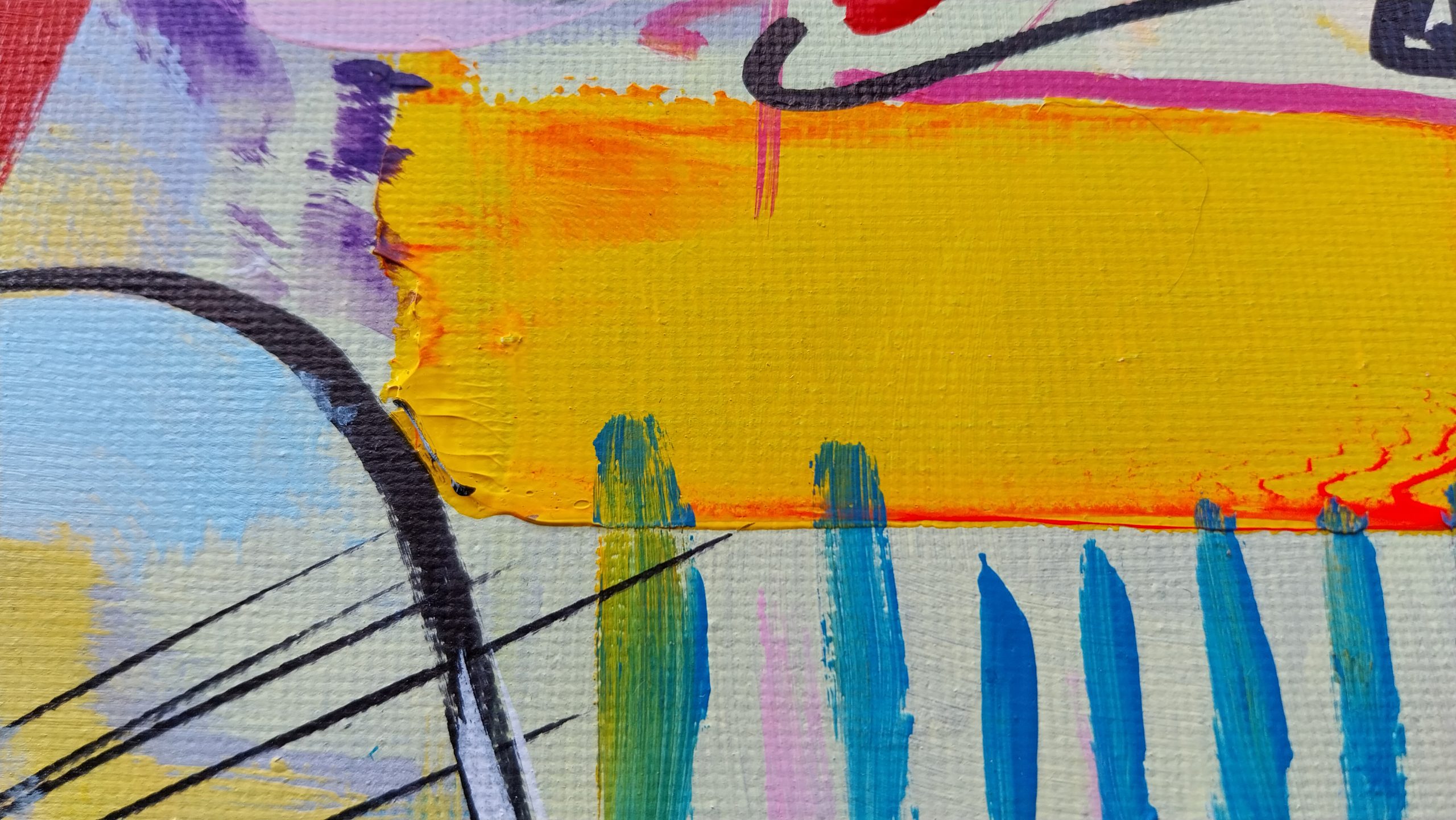 2025-Jungla 6-Detalle