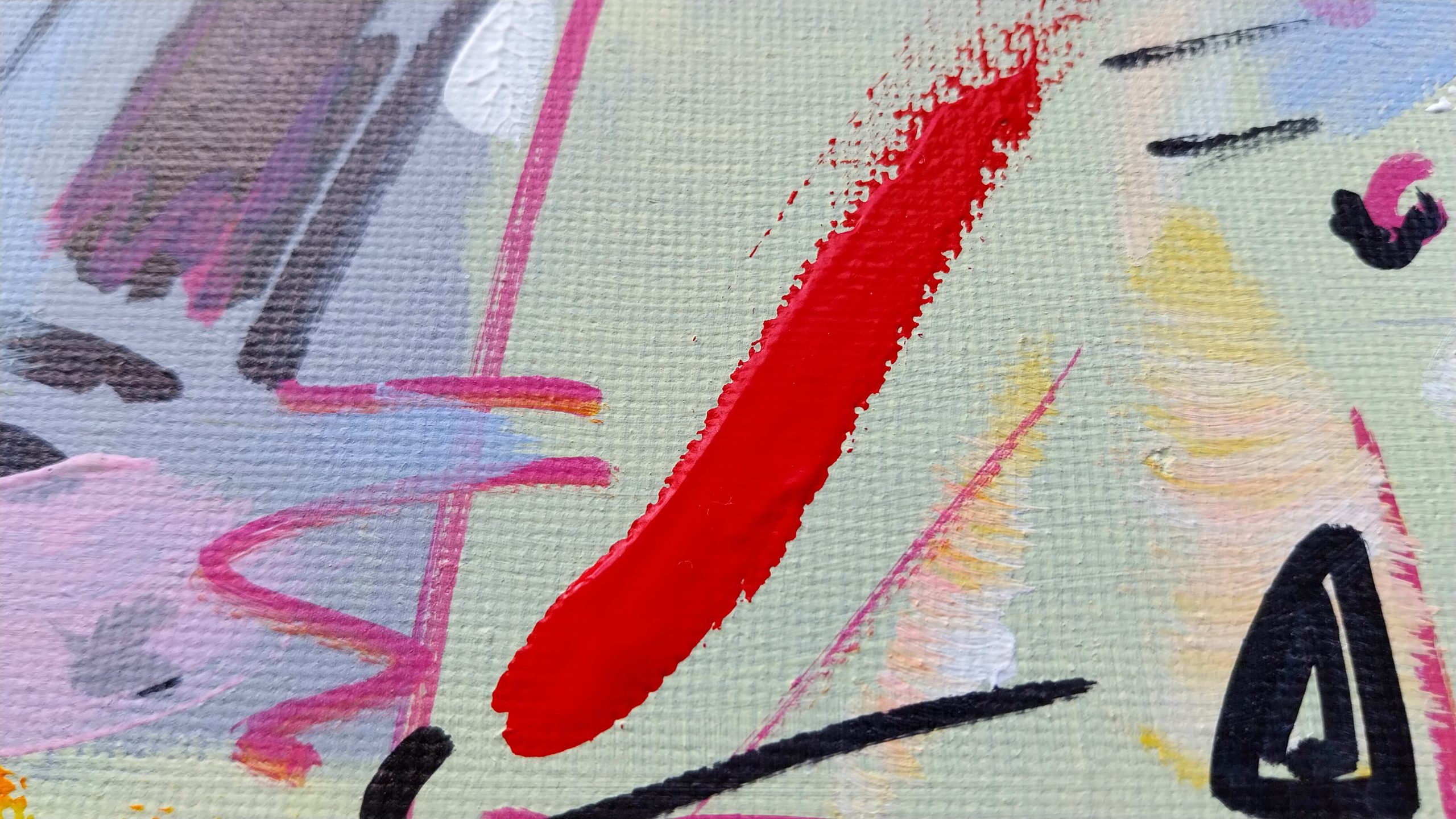 2025-Jungla 6-Detalle