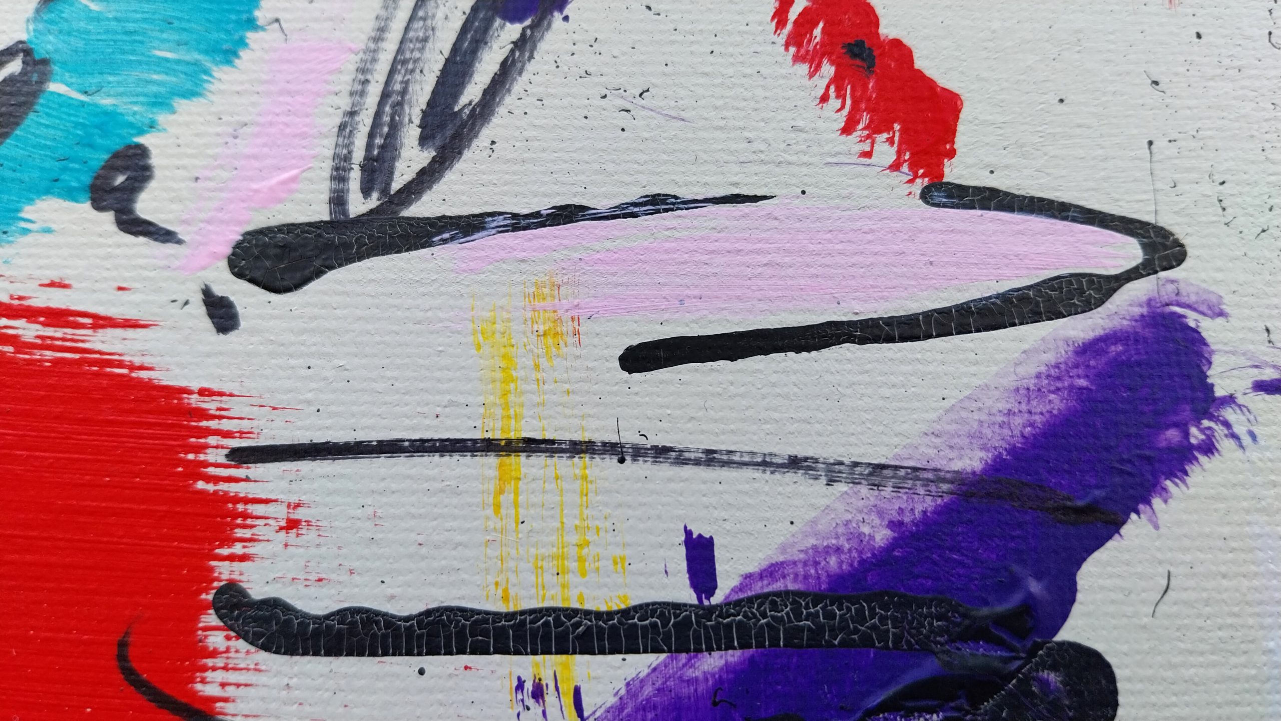 2025-Jungla 8-Detalle