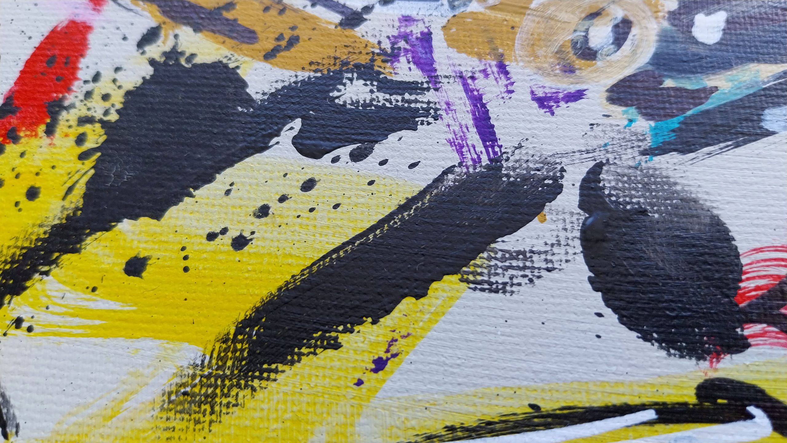 2025-Jungla 8-Detalle