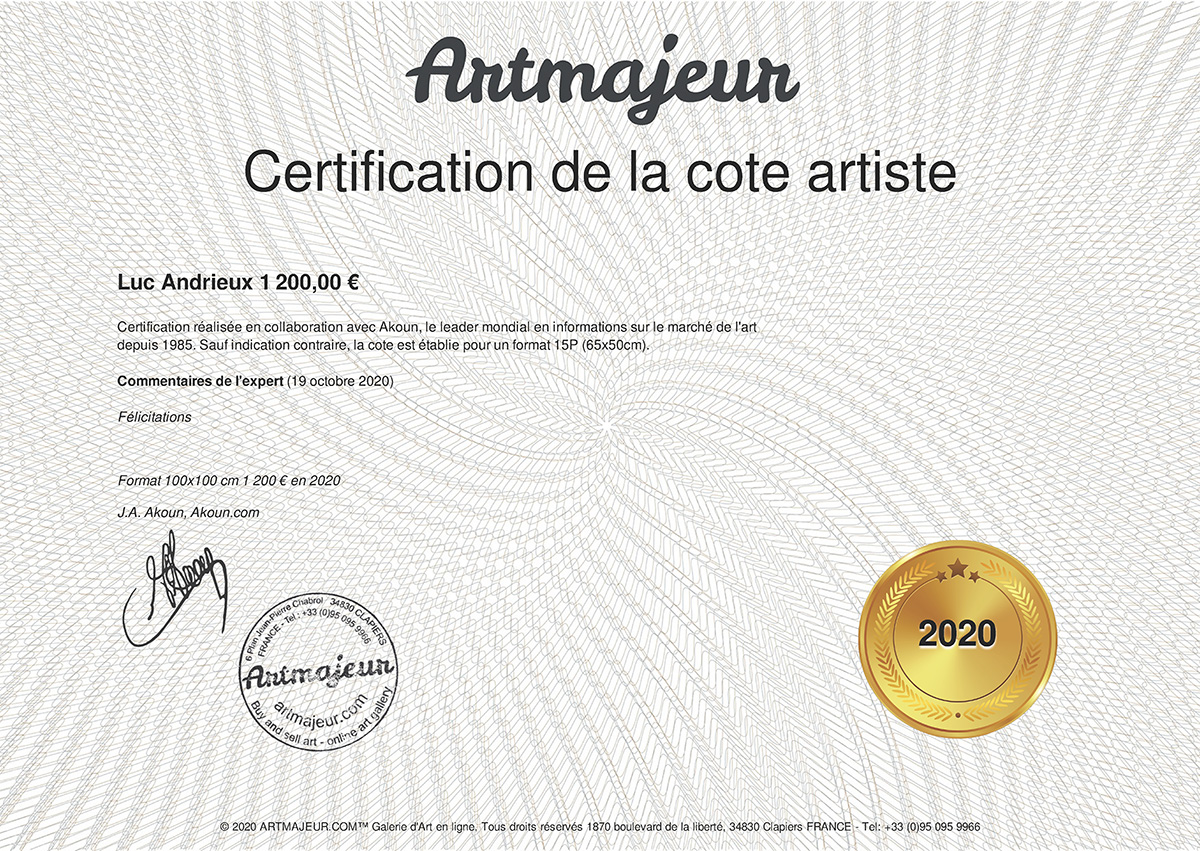 Luc Andrieux artiste peintre, certification Akoun 2020 Luc Andrieux artiste peintre, certification Akoun 2020